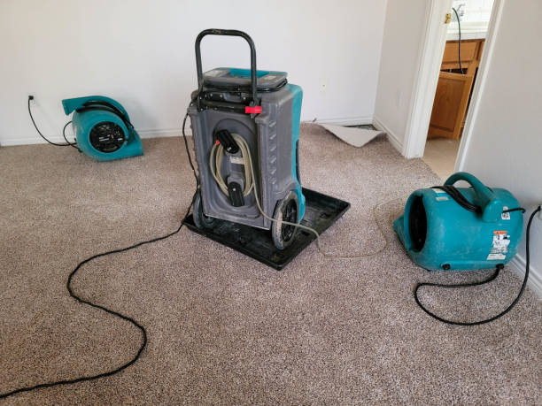 Best Water damage restoration near me  in Markle, IN