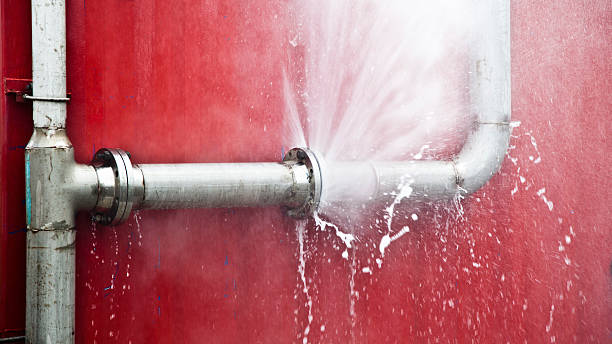 Best Sewage cleanup and water damage restoration  in Markle, IN