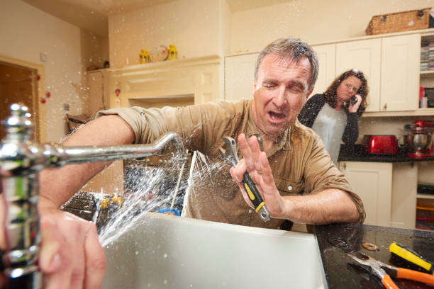 Best Basement water damage restoration  in Markle, IN